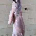 ذبايح الرس