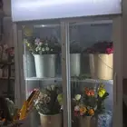 طريف