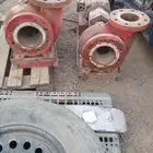 دفاعه 7ونص حصان أمريكيه