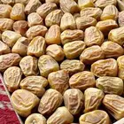 تمر سكري فاخر وجديد( تم البيع )