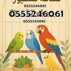 فندقة طيور وقطط 6061 24 0555 وقت اجازتكم
