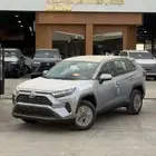 راف فور ستاندر دبل هايبرد