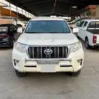 برادو 2023