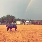 مربط وسطبل المغيرات