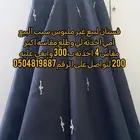 ابو حجر