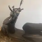 دباب