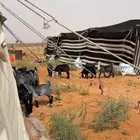 معزا مراح للبيع