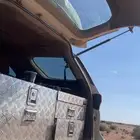 عزبة فورتشنر2020