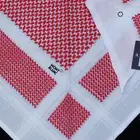 عرض اليوم الوطني 95