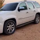 جمس دينالي 2009
