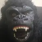 غوريلا ارتفاع 2 ونصف متر أكبر مقاس