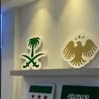 قطط