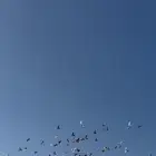 حمام بلدي