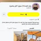 نستقبل عروض ابل