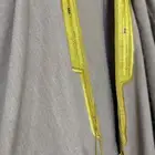 مشلح برد للبيع