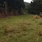 مرشد سياحي ابها