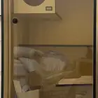 بيت قطط