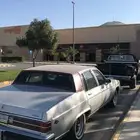 بيوك بارك افينيو 1984