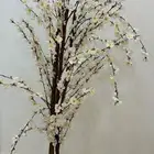 حوض ورد أبيض