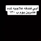 احتاج فندقه قطط