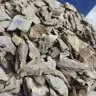 عود كينام 1300 للكيلو  صيني مستزرع بأسعار المصدر