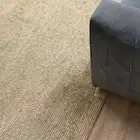 موكيت 3في4 يحتاج غسيل