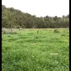 مرشد سياحي ابها