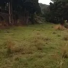 مرشد سياحي ابها