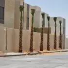 مقاول شبوك ونخيل.