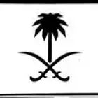 للوحة ترمز لقبيلة الانصار للبيع