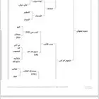 مهره كحيلة أم عرقوب