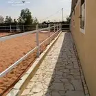 تدريب ومدرسه لتعليم الفروسيه شرق الرياض خلف محطة صحاري