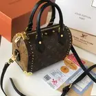 شنط لويس فيتون