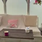 جلسه حوش
