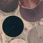 عنز