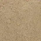 تربه بحريه