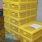 اقفاص نقل طيور شبه جديده