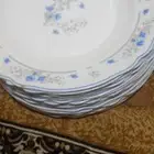 صحون وزبادي اركوبال