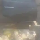 رانج رافر تشليح اثنبن باب يمين 2008