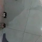 قزاز ددسن 2003