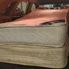 اسفنجات للبيع