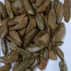 مروكي طبيعي محس بيور