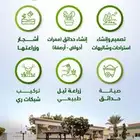 تنسيق حدائق الزلفي مجمعه الغاط
