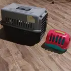 قفص قط وبطه للبيع