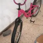 سيكل زهري