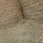 اللبيع لفات. رودس. نظيف. خاليه. من الأمطار. قطر 120الي 130
