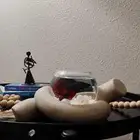 سمك فايتر ( زينة)