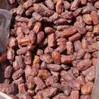 خضري فاخر الموقع الغاط كميه مفتوحه