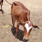 Peace mercy and blessings of God be upon you In the name of