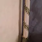 استاند بلمبه